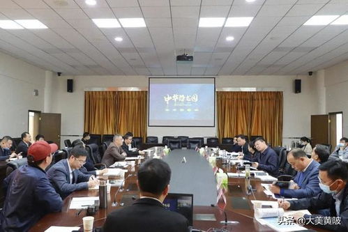 區領導專題聽取武漢中華恐龍園旅游度假區項目設計方案，共繪文旅發展新藍圖