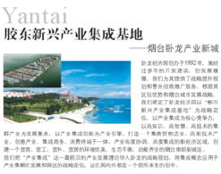 膠東新興產業集成基地的文旅融合新動力 博為國際專業服務賦能